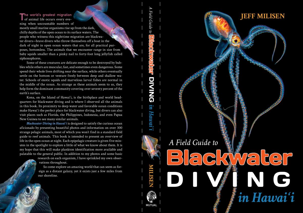 A Field Guide to Blackwater Diving in Hawai‘i Underwater Photography
